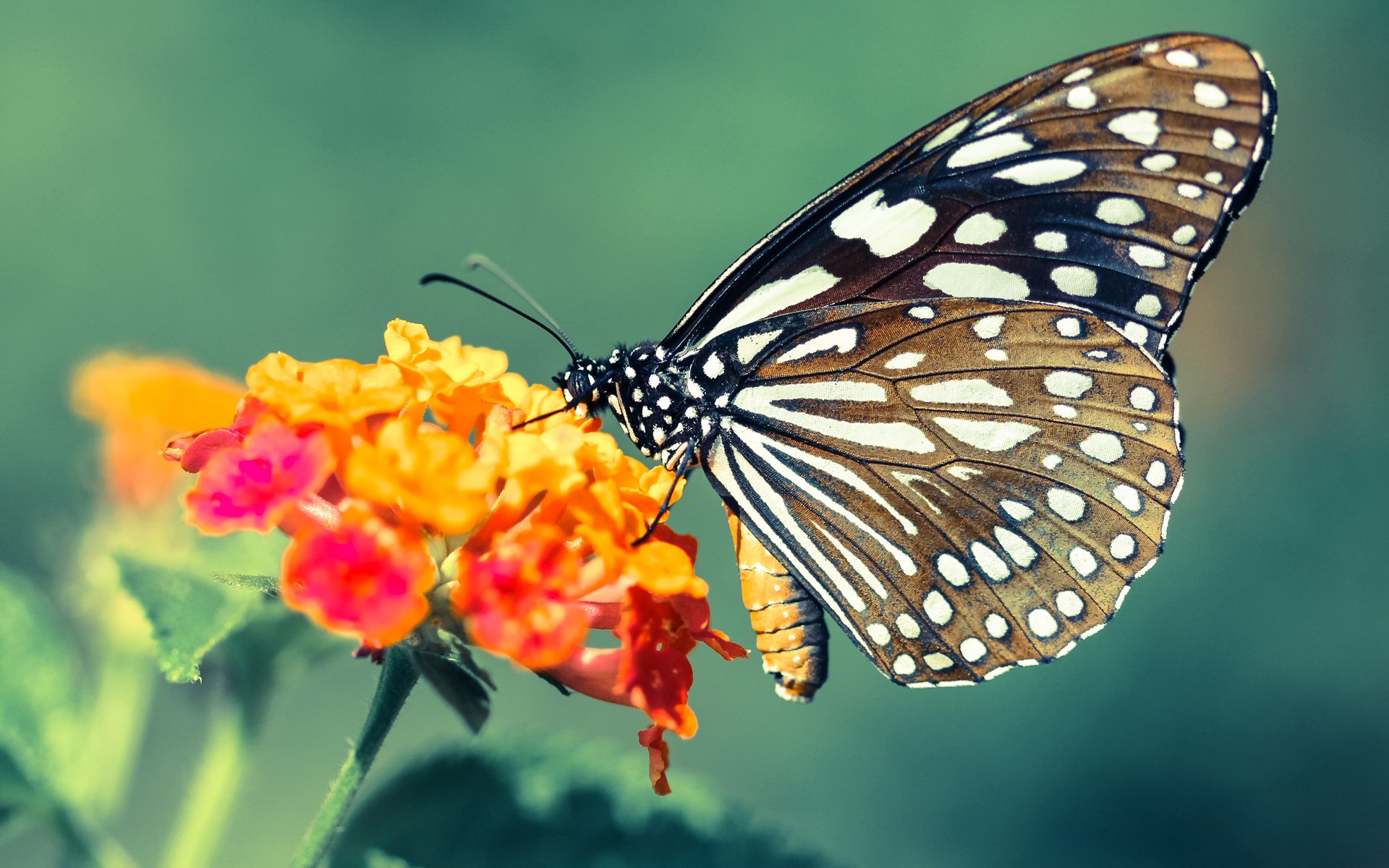 爱游戏体育-竹筏漂流寻宝，运动冒险共度奇趣时光，竹筏漂流的体验语句