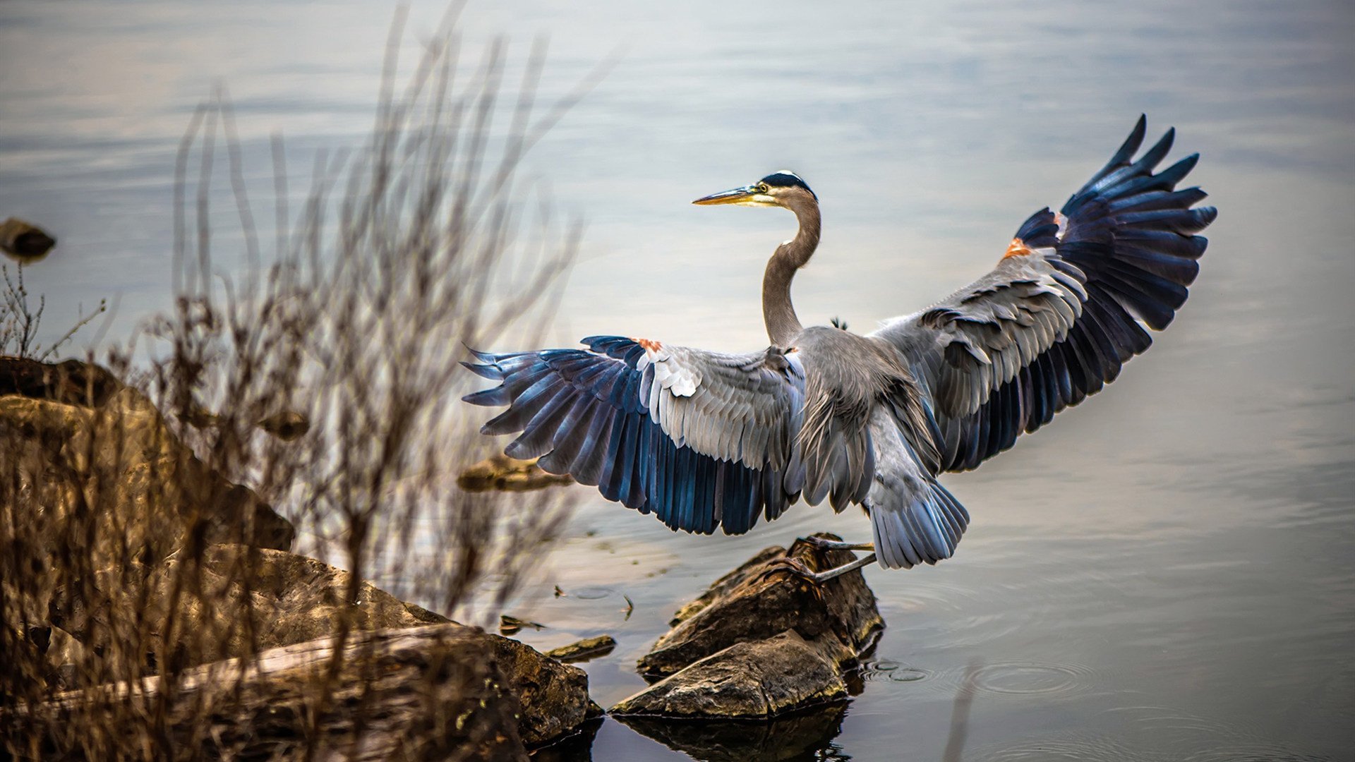 爱游戏中国官网-英超：阿森纳3-2险胜伯恩茅斯，奥巴梅杨和厄德高建功，阿森纳连续6场英超保持不败