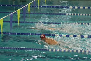 爱游戏官网-国际游泳精英赛中国队多人破纪录，国际游泳冠军系列赛