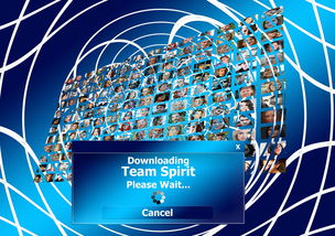 爱游戏资讯-球迷盛典：现场氛围与体育精神的融合，球迷知识